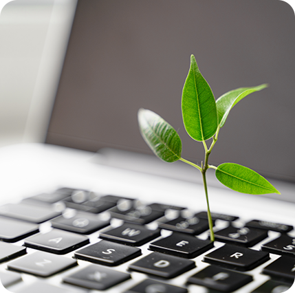 Fotos von Händen um einen Pflanzentrieb in der Erde