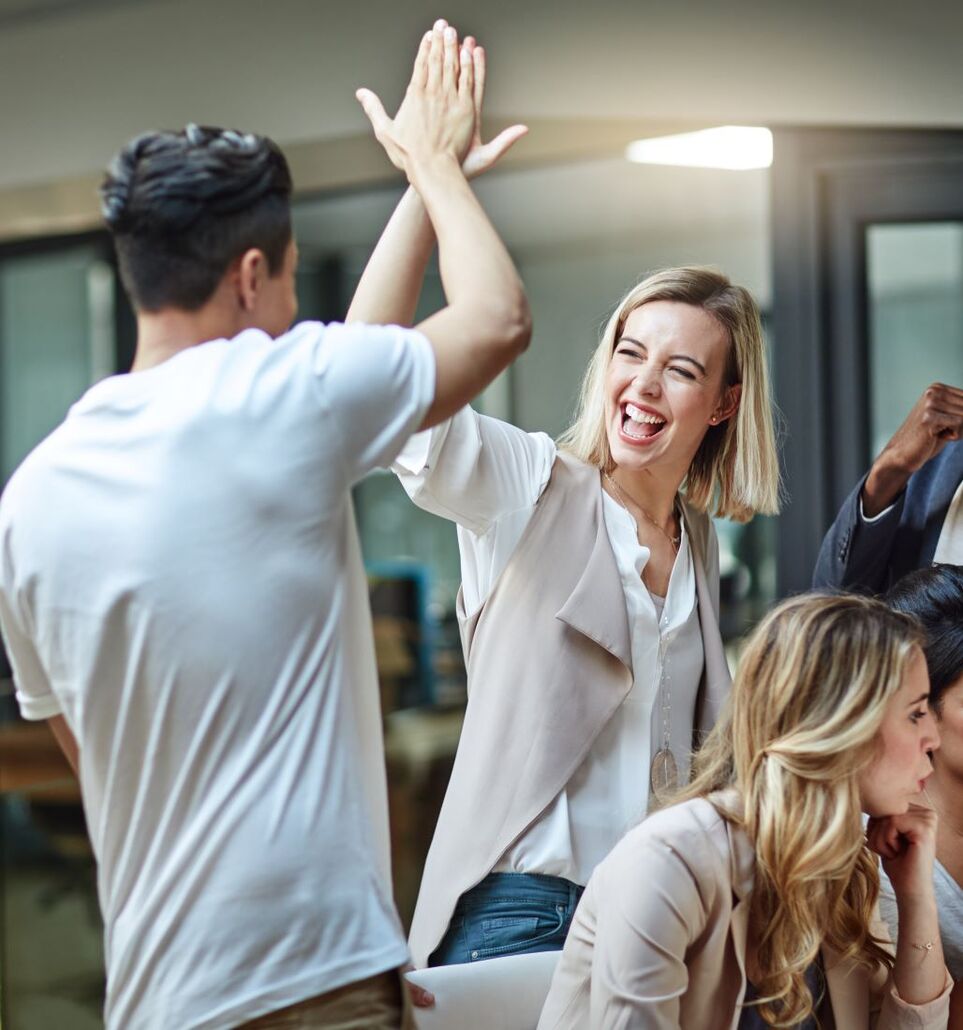 Begleitbild zu den Kennzahlen von Panvision